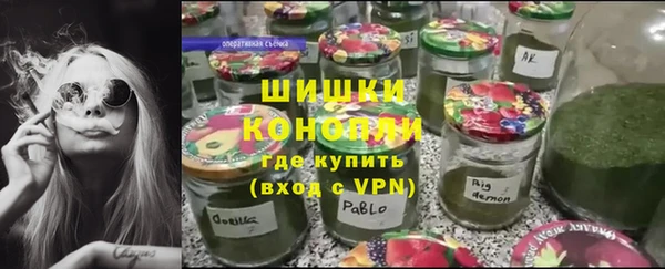 дживик Белокуриха